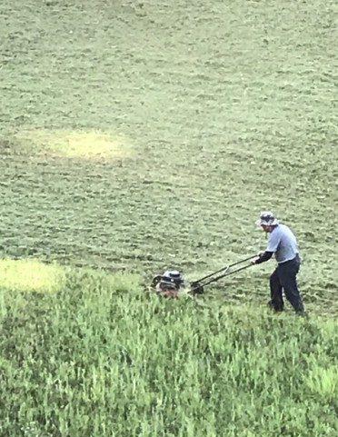 高雄內門區除草，高雄內門區割草