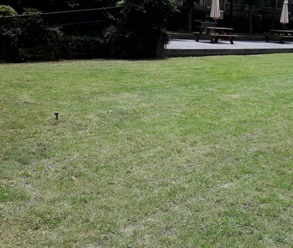 高雄鳥松區除草，高雄鳥松區割草