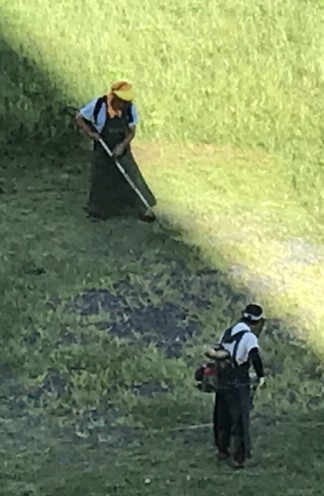 高雄市燕巢區除草，高雄市燕巢區割草